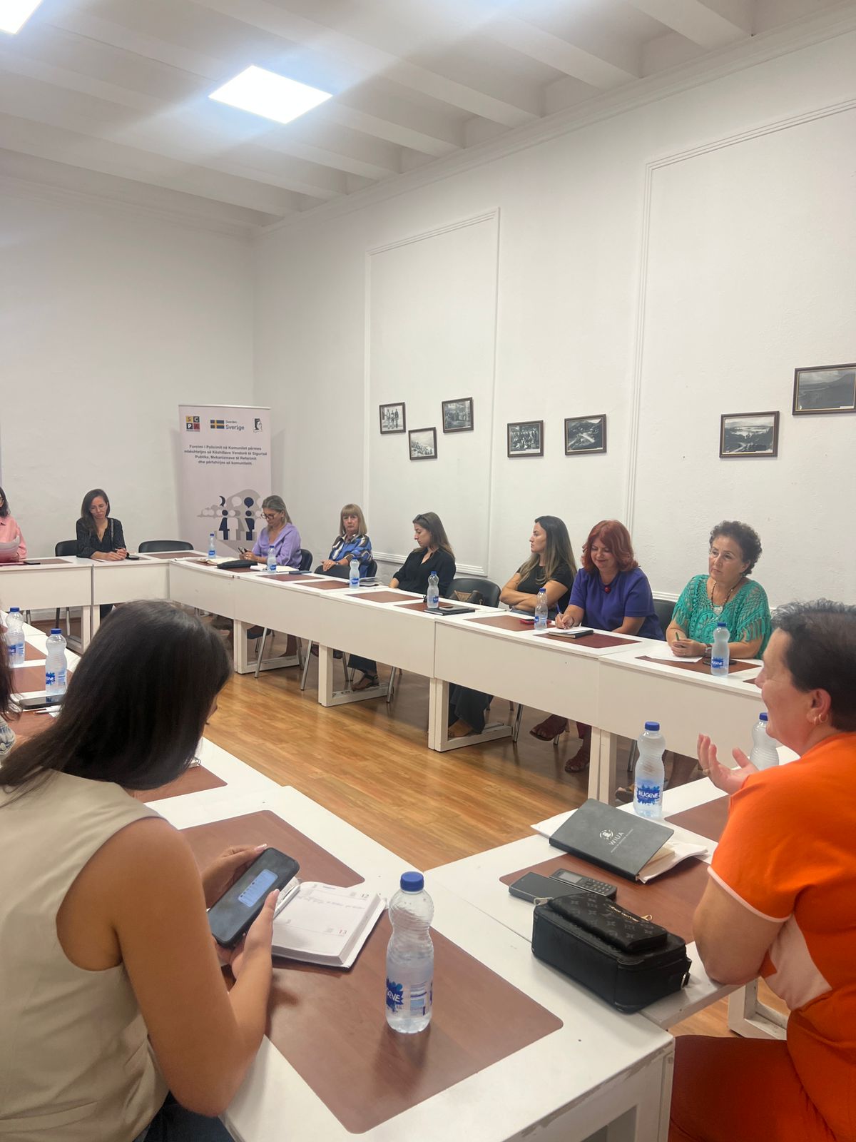 Grants’ Scheme Activity – Domestic Violence – Shkodra
