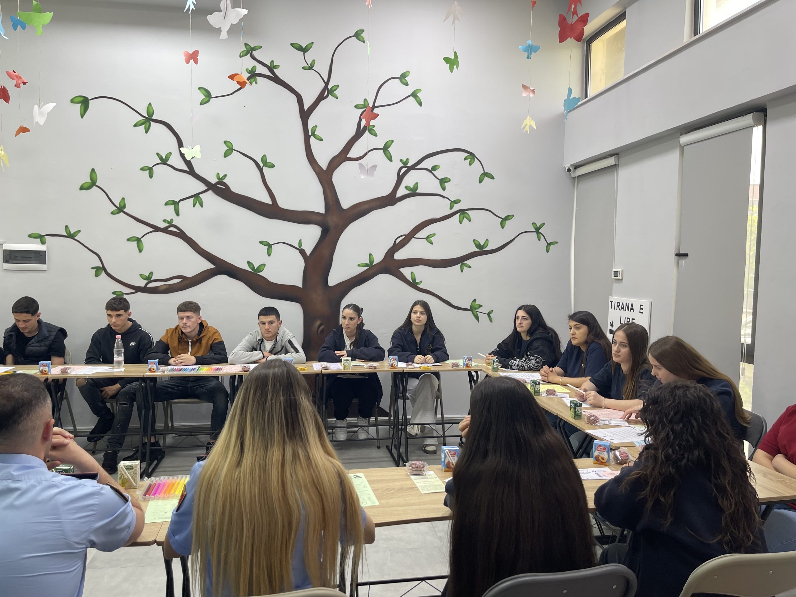 Grant Scheme Activity – Gender Based Violence – Tirana